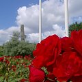 Wakacje 2007 - Gdańsk, Westerplatte