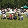 23.VI.2007 #WystawyPsów