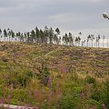 Pamiątka po niedawnym huraganie, który zniszczył znaczną część lasów w północnej Słowacji #Hrebienok #Smokowce #Slowacja #wodospady