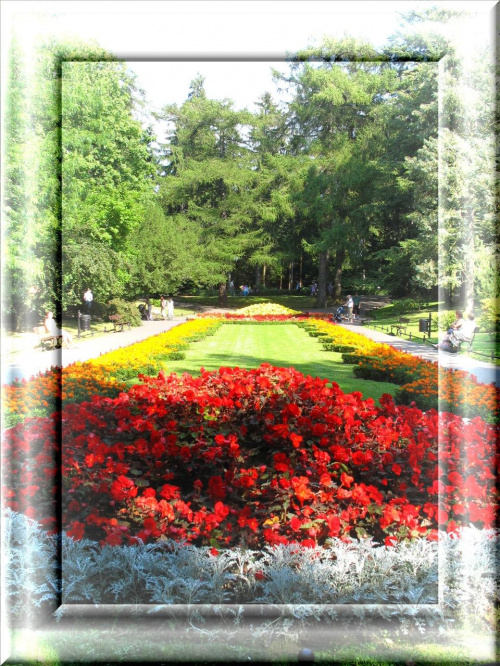 Zapraszam do spaceru po parku w Gdansku Oliwie #parki #Oliwa #Kwiaty #rośliny