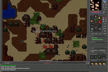 #Tibia