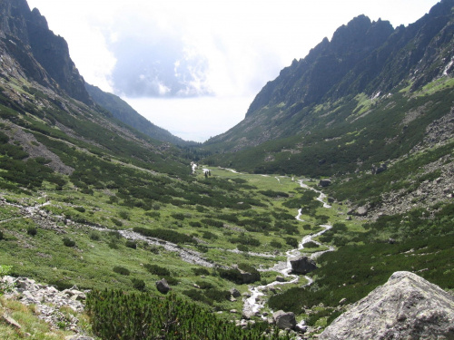Dolina Małej Zimnej Wody. #Góry #Tatry