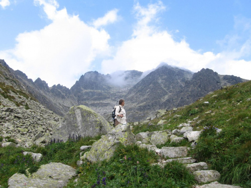 Zadnia Dolina Jaworowa #Góry #Tatry