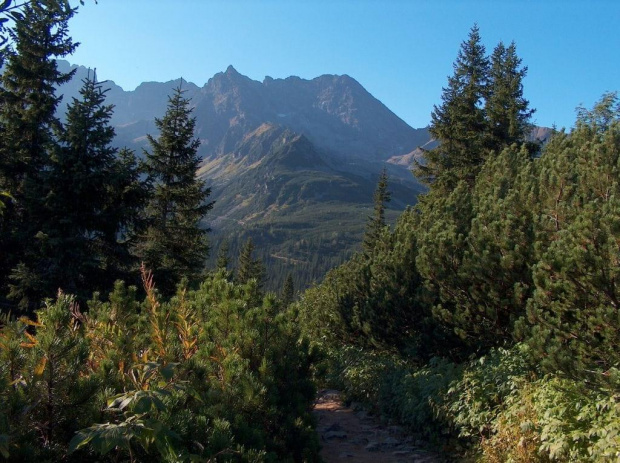 Tatry