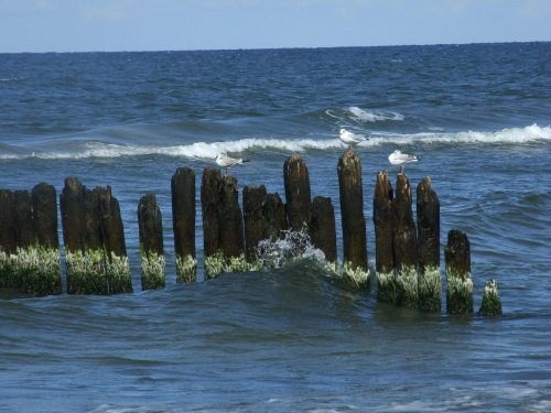 Ustka 2007 #morze #Bałtyk #fale #wakacje #mewy #mewa #falochron