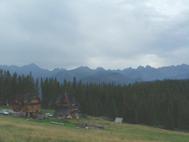 Widok z trasy Bukowina- Łysa Polana