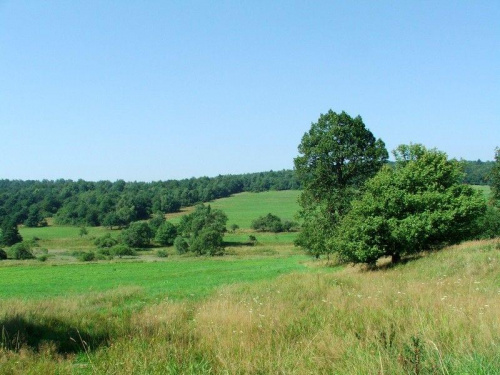 Beskid Niski