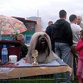 NELA Dar Tibetu
