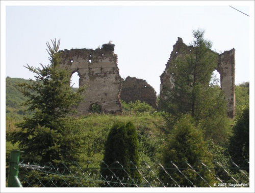 Ruiny zamku Hołumnickiego