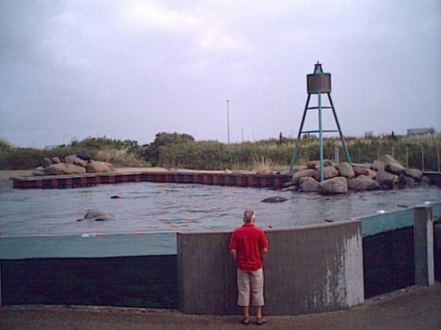 Miasto HIRTSHALS w Danii - oceanarium