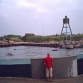 Miasto HIRTSHALS w Danii - oceanarium