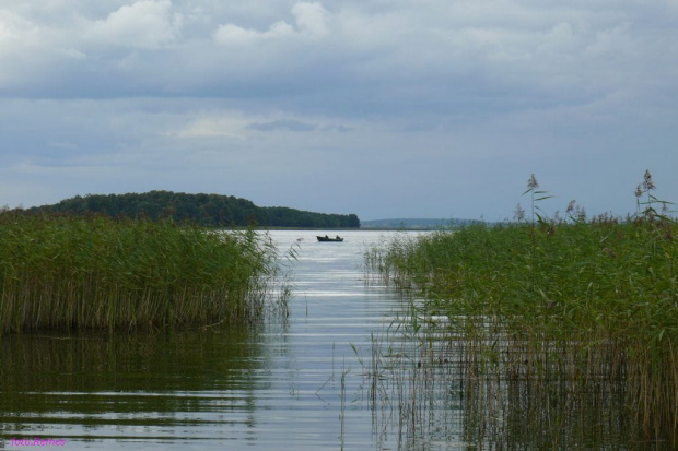 Jezioro Śniardwy #JezioroŚniardwy #NiedzwiedziRóg #Mazury #Remes