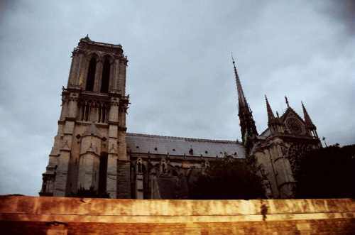 Notre Dame z profilu...