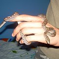 Epicrates cenchria maurus