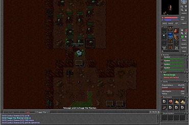 Loshy mój :D #Tibia