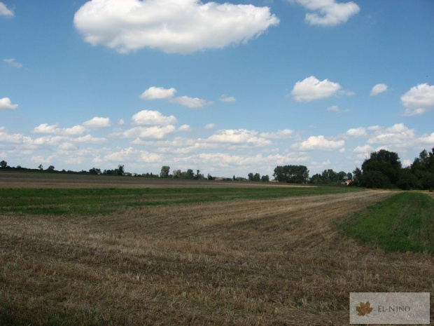 Koleje polskie: Sierpień
Zapraszam do komentowania :)