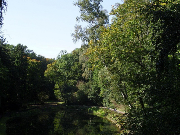 TORUŃ - PARK MIEJSKI I TZW. MARTÓWKA #FaunaIFlora